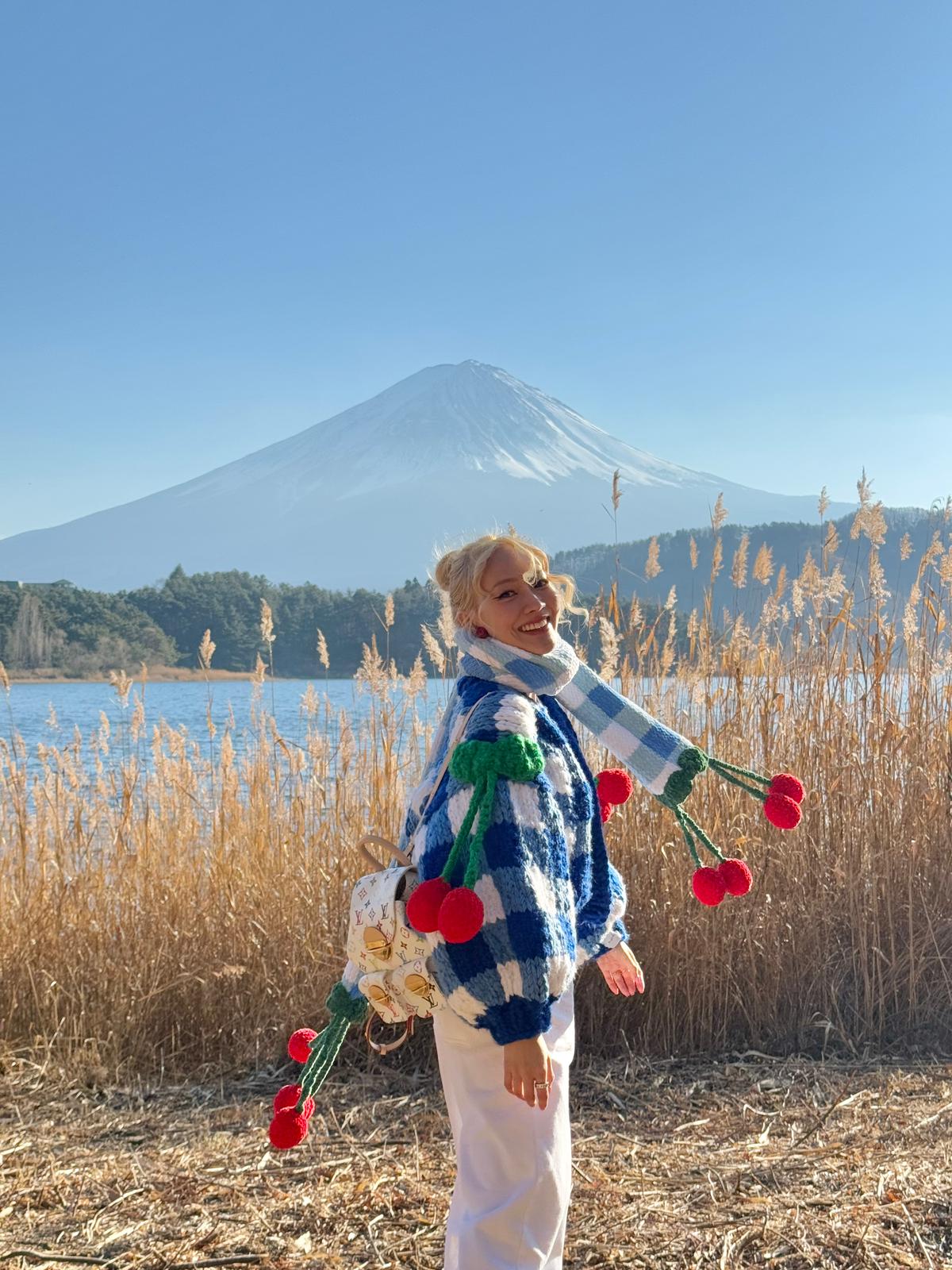 Cherry Pöti El Örgüsü Hırka