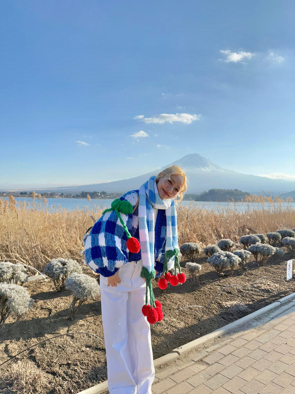 Cherry Pöti El Örgüsü Hırka