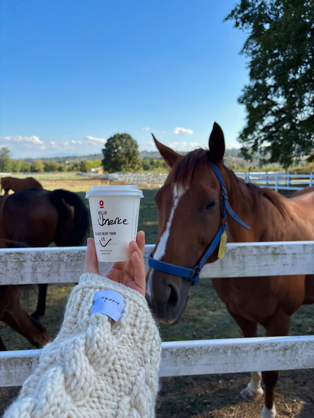 Cream El Örgüsü Kazak